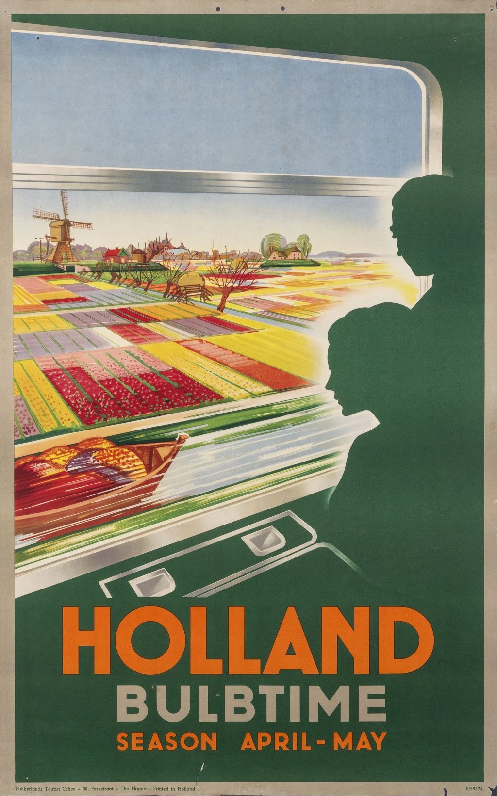 Holland – tulipaner (1950’erne)